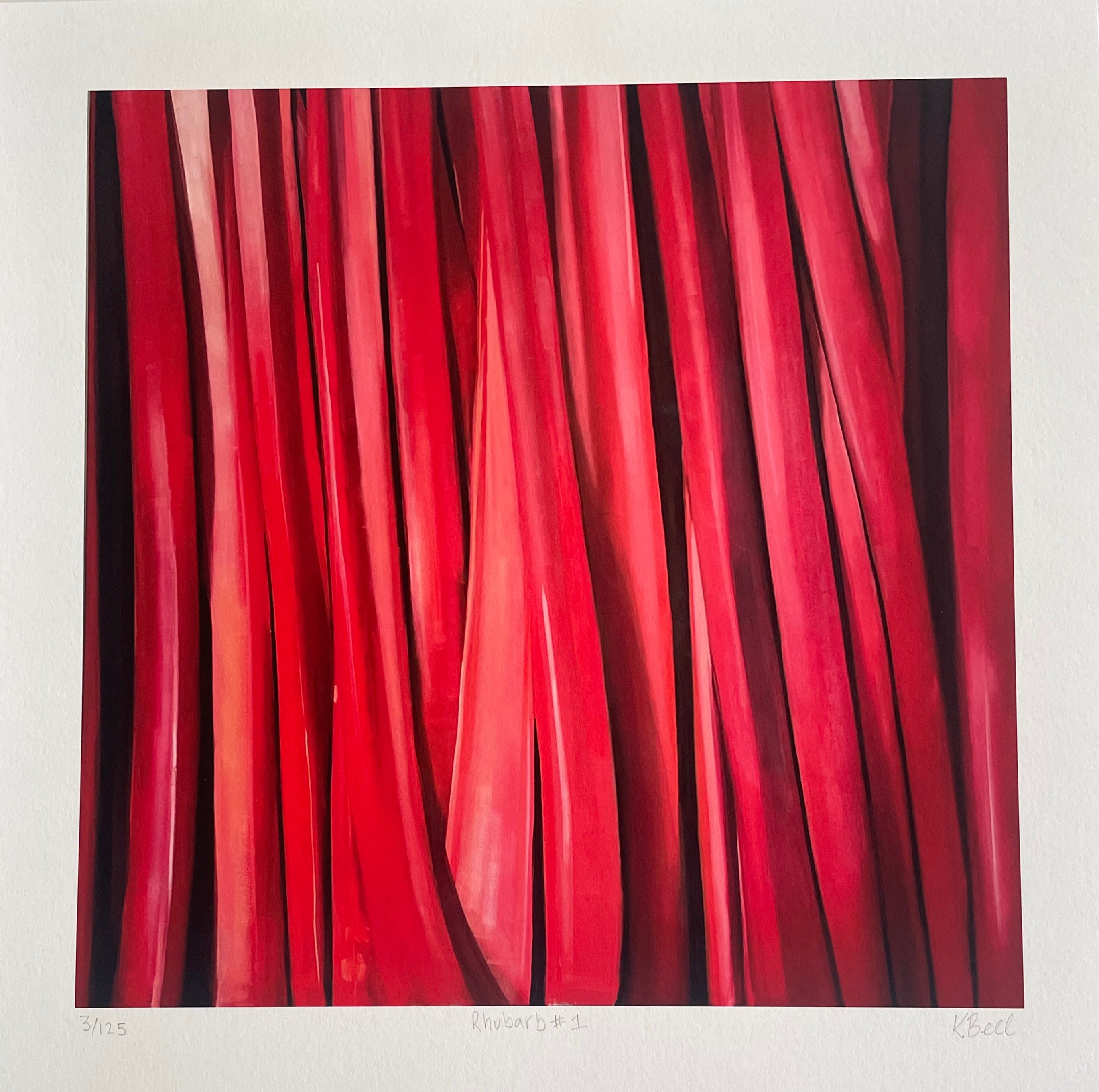 Rhubarb #1